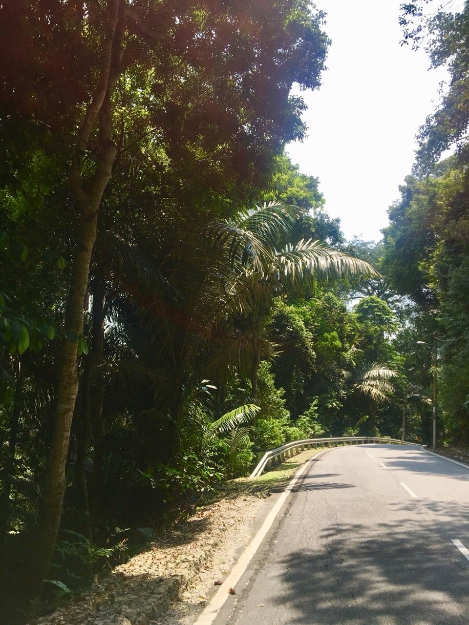 Malaysia -  - 