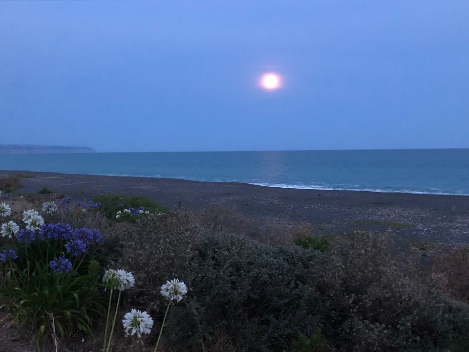 Neuseeland - Bay View - 