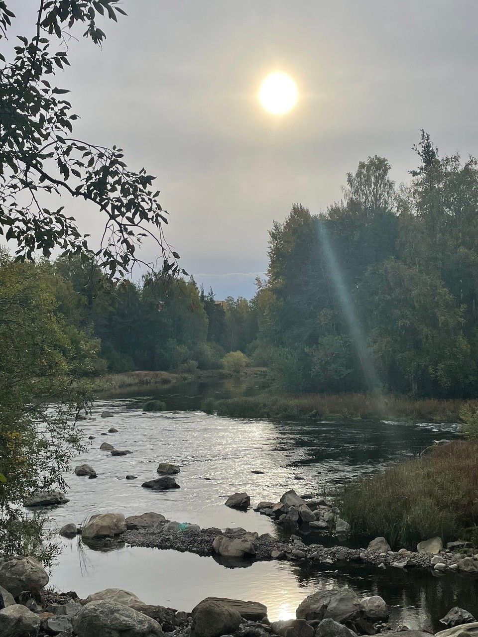 Finnland - Rantasalmi - Kleiner Spaziergang am Morgen 