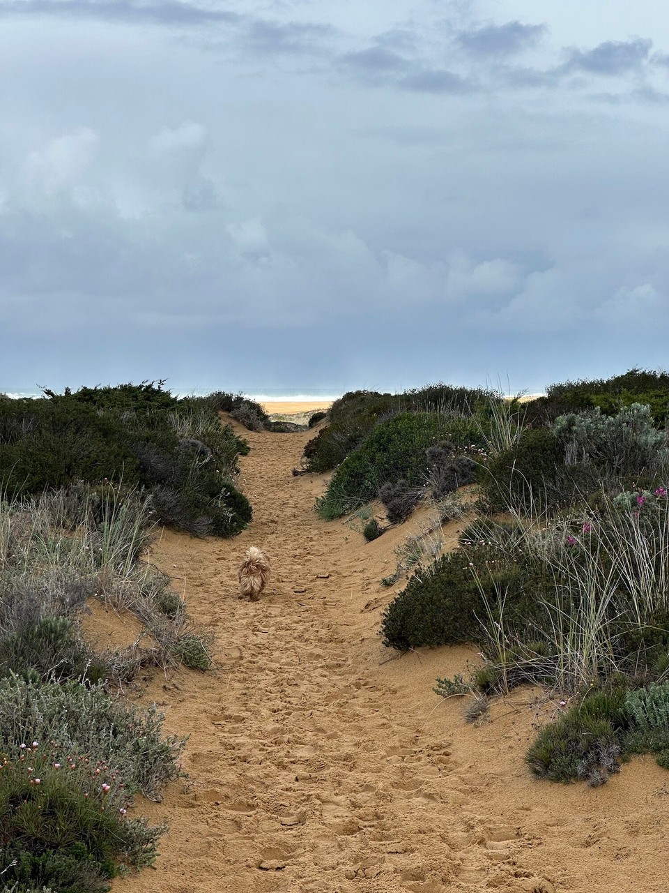 Portugal - Bordeira - 