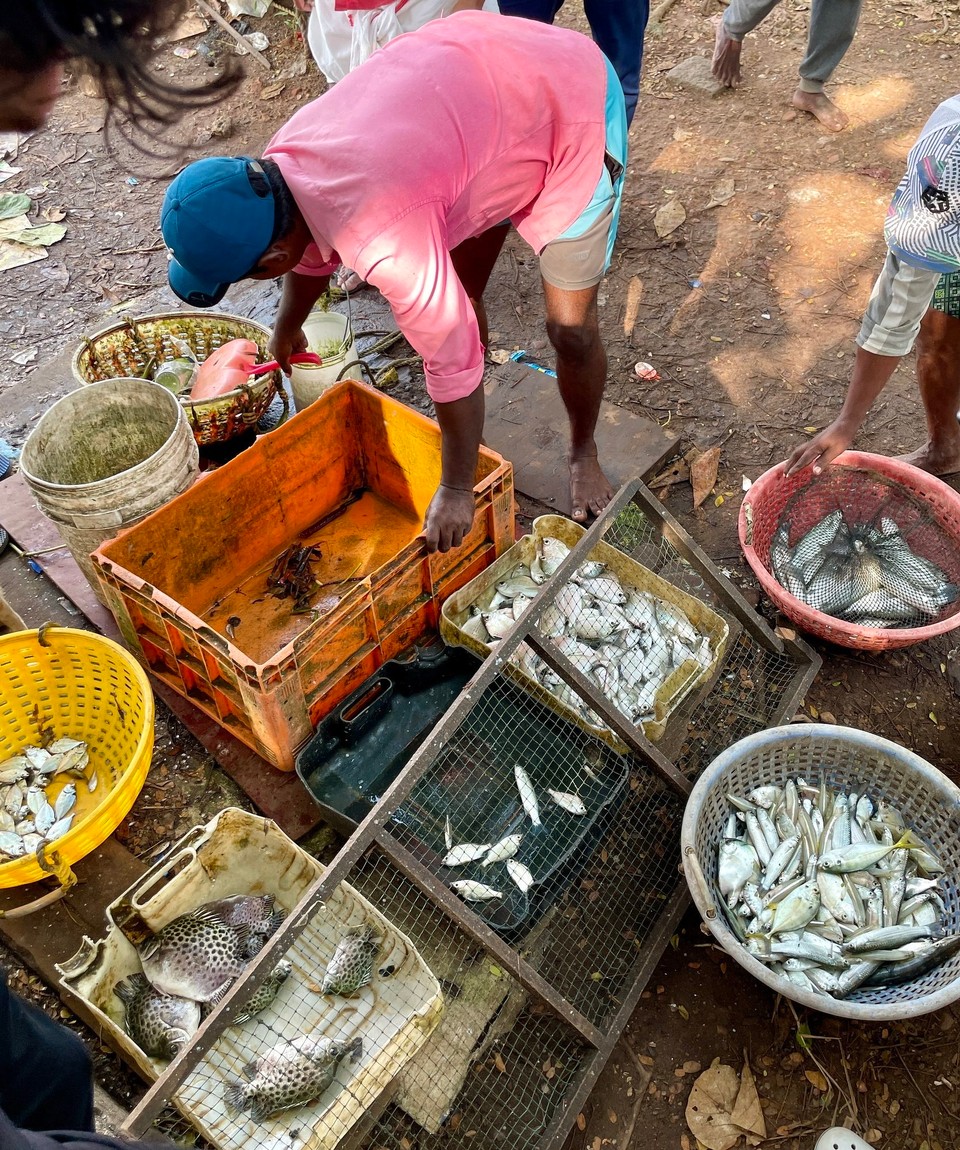Indien - Kochi - 