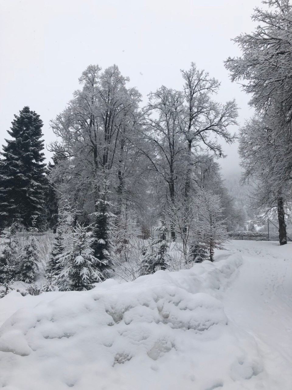 Austria -  - 