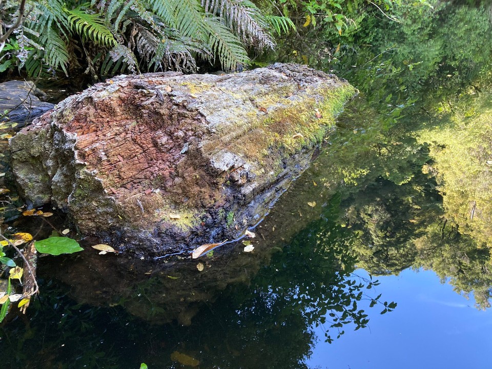 Neuseeland - Picton - 