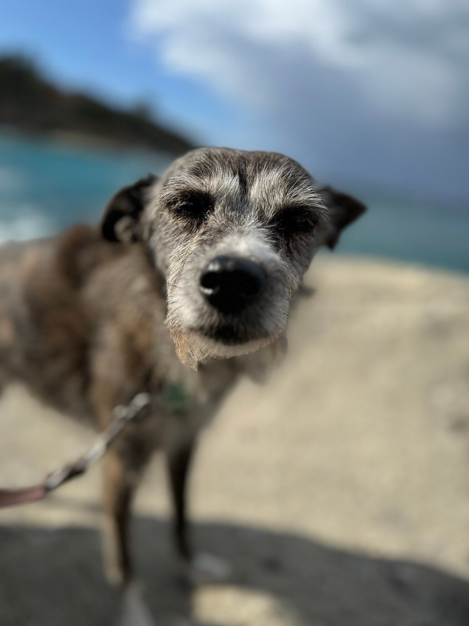 Italien - Marciana - 