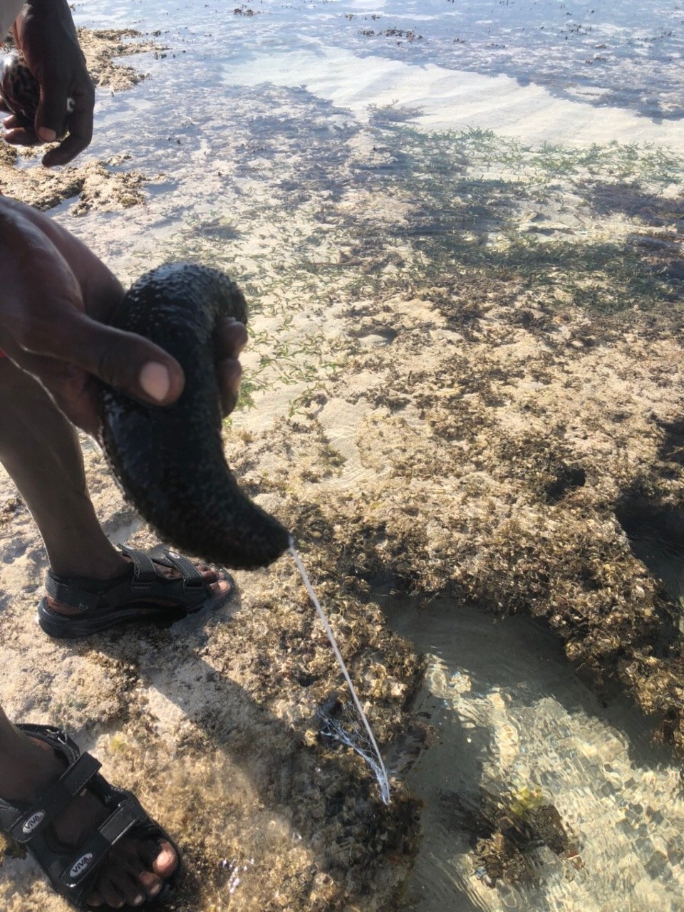 Kenia - Kwale - 