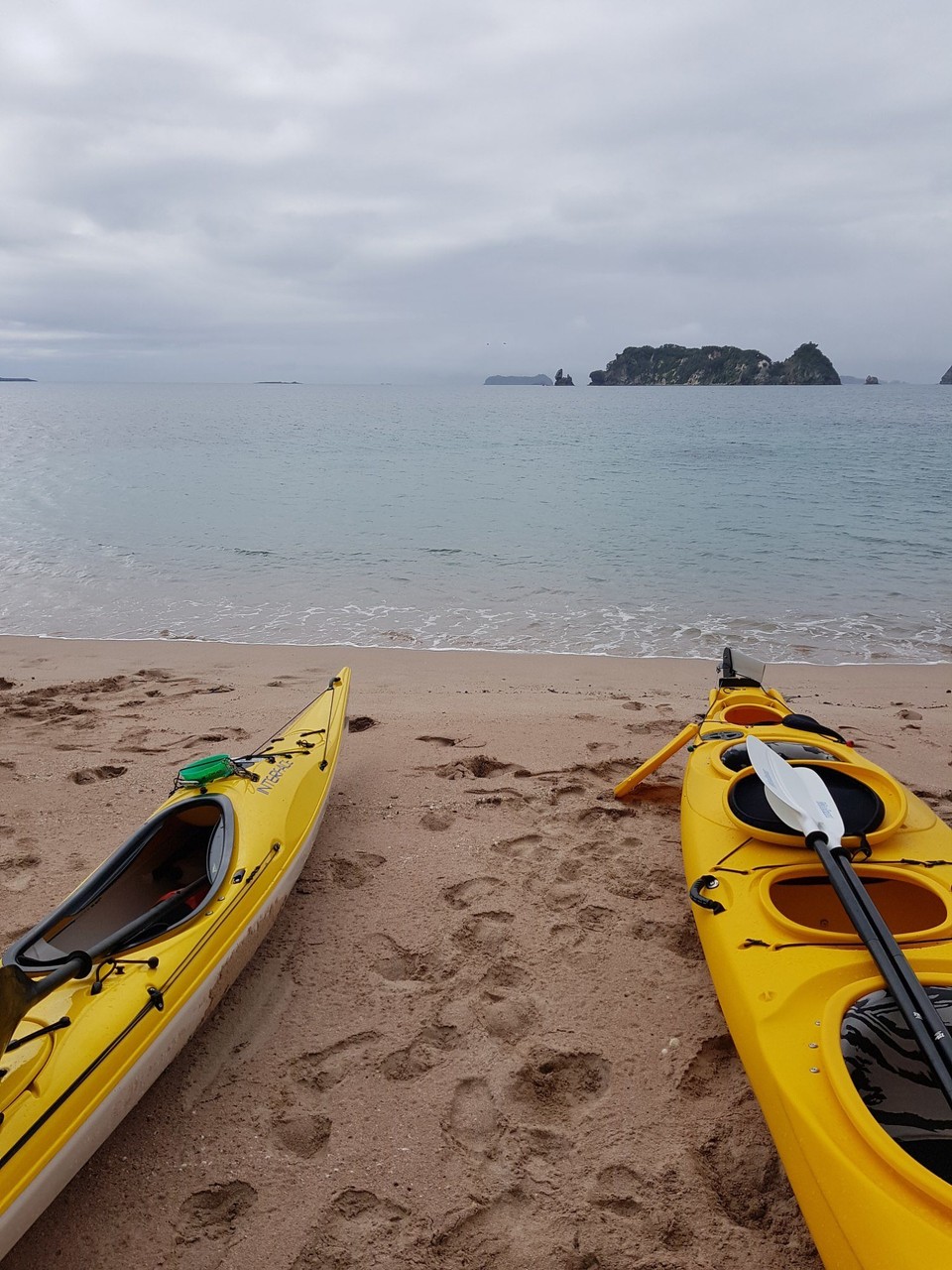 Neuseeland - Whitianga - 
