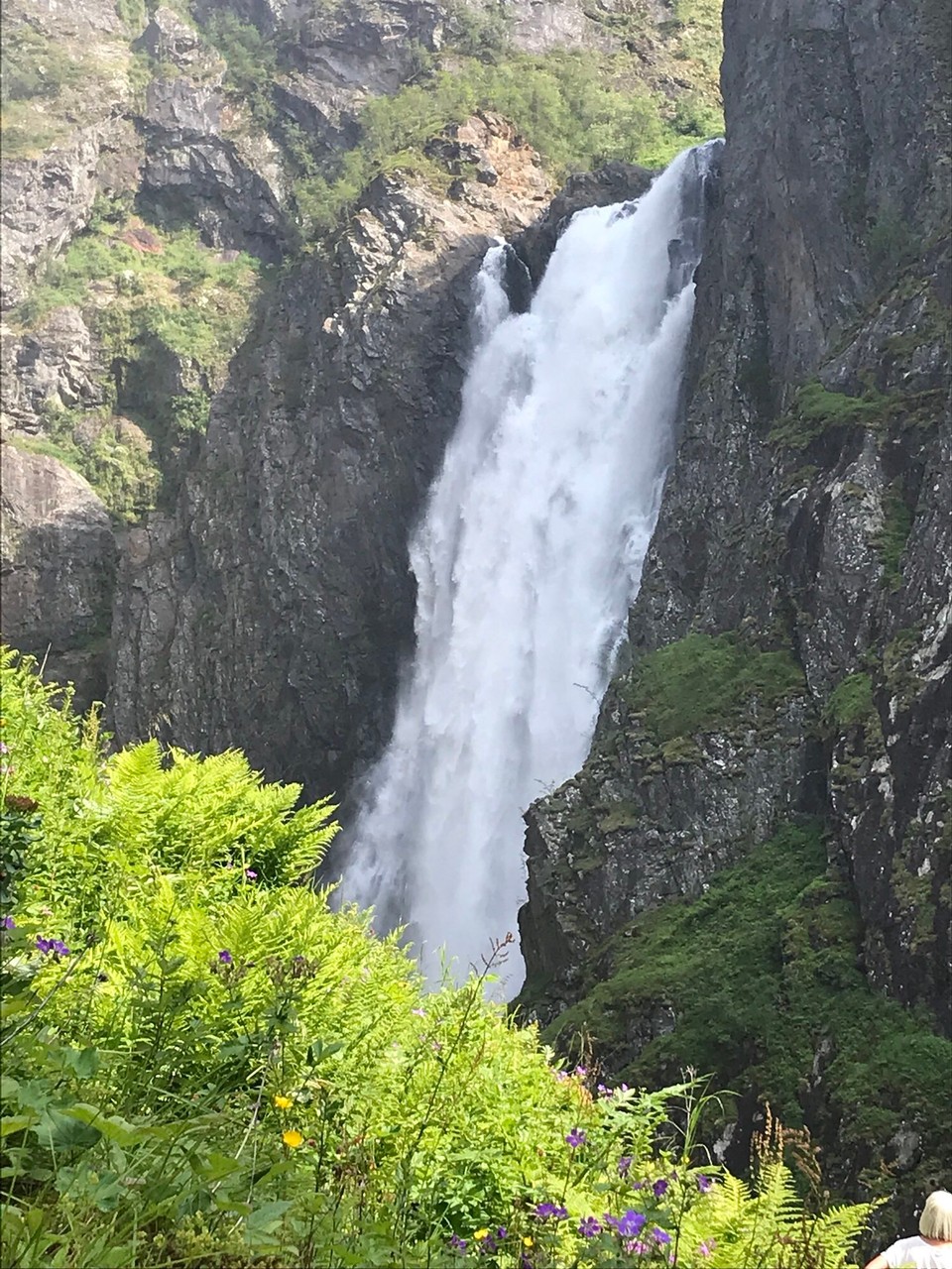 Norwegen - Haugastøl - 