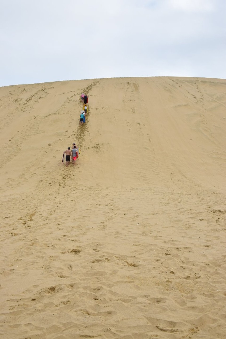 Neuseeland - Cape Reinga - Der Weg nach oben ist auf die Dauer ganz schön anstrengend...