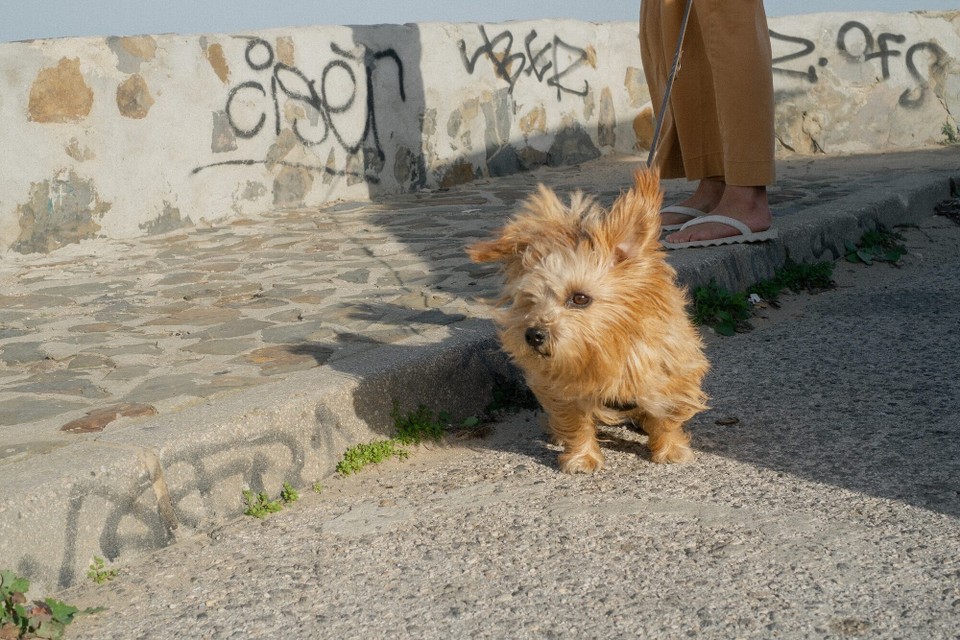 Portugal - Aljezur - 