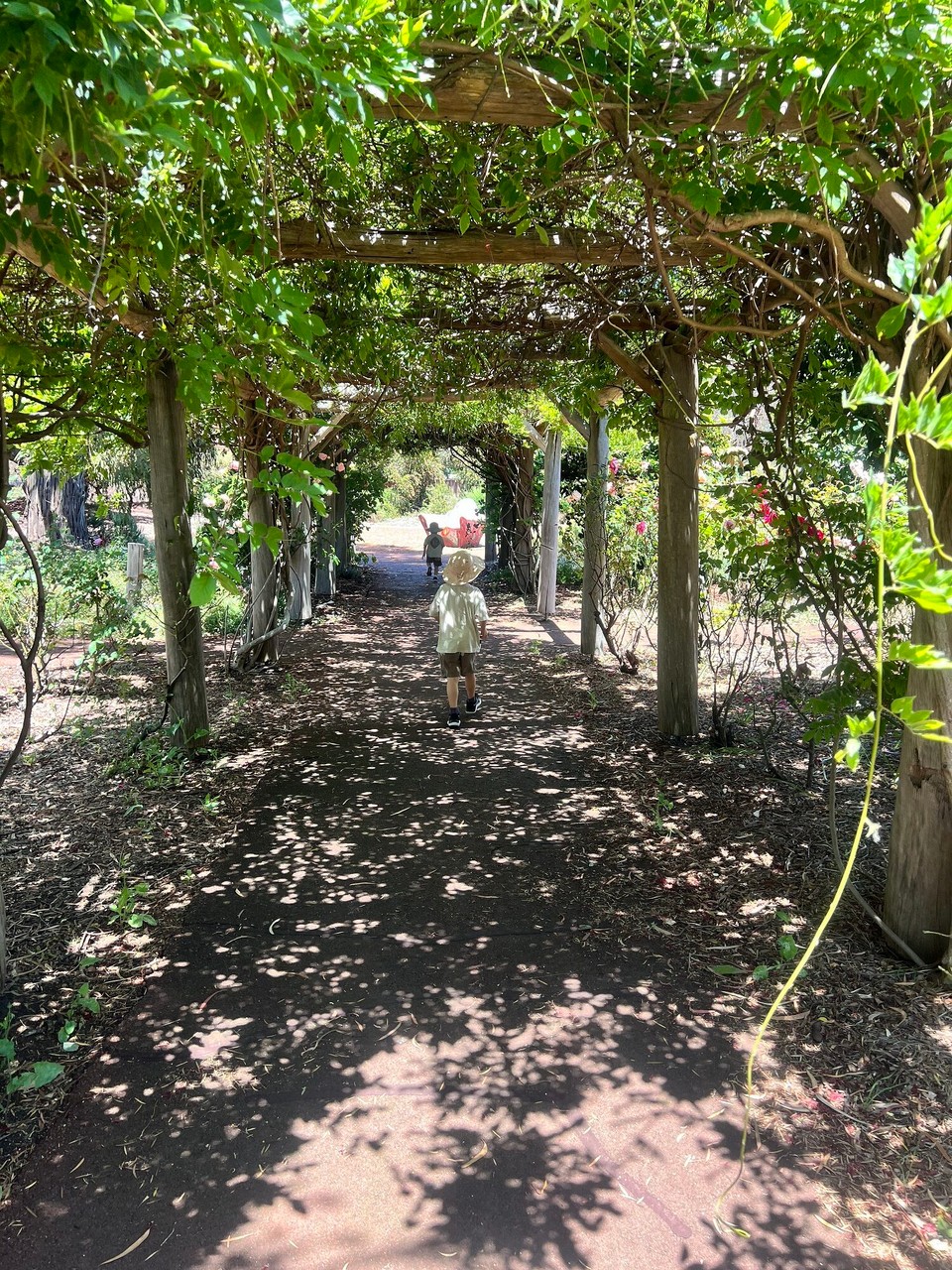 Australia - Brisbane Airport - 