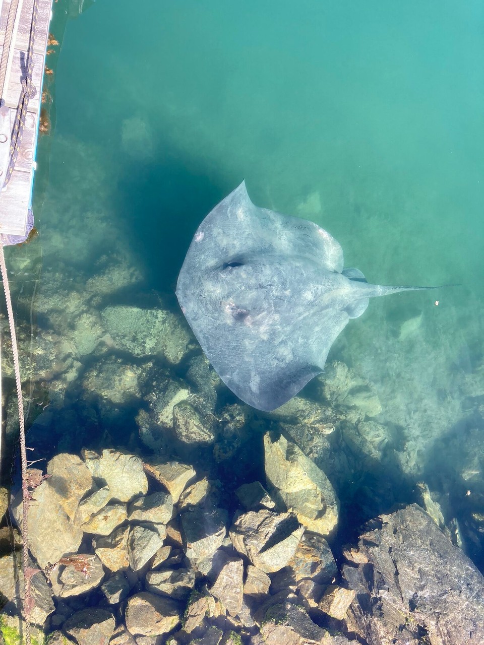 Neuseeland - Picton - 