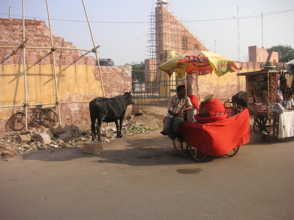 Indien - Jaipur - 