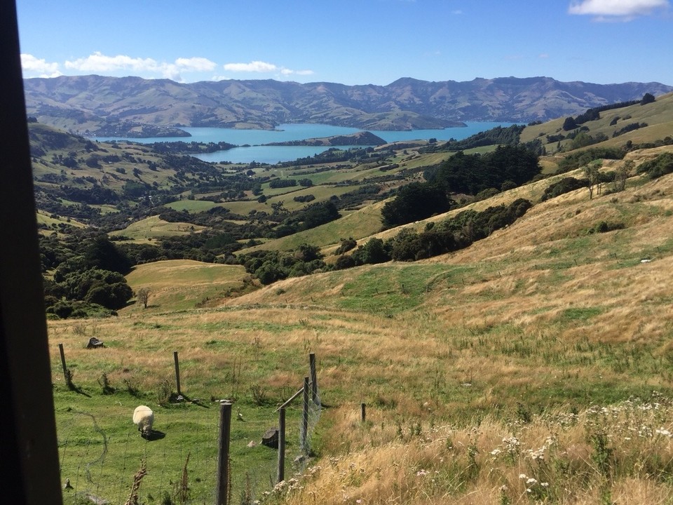 Neuseeland - Akaroa - Ausblicke bei der Fahrt auf der Banks Peninsula 