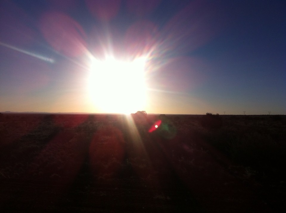 Egyesült Államok - Williams - 