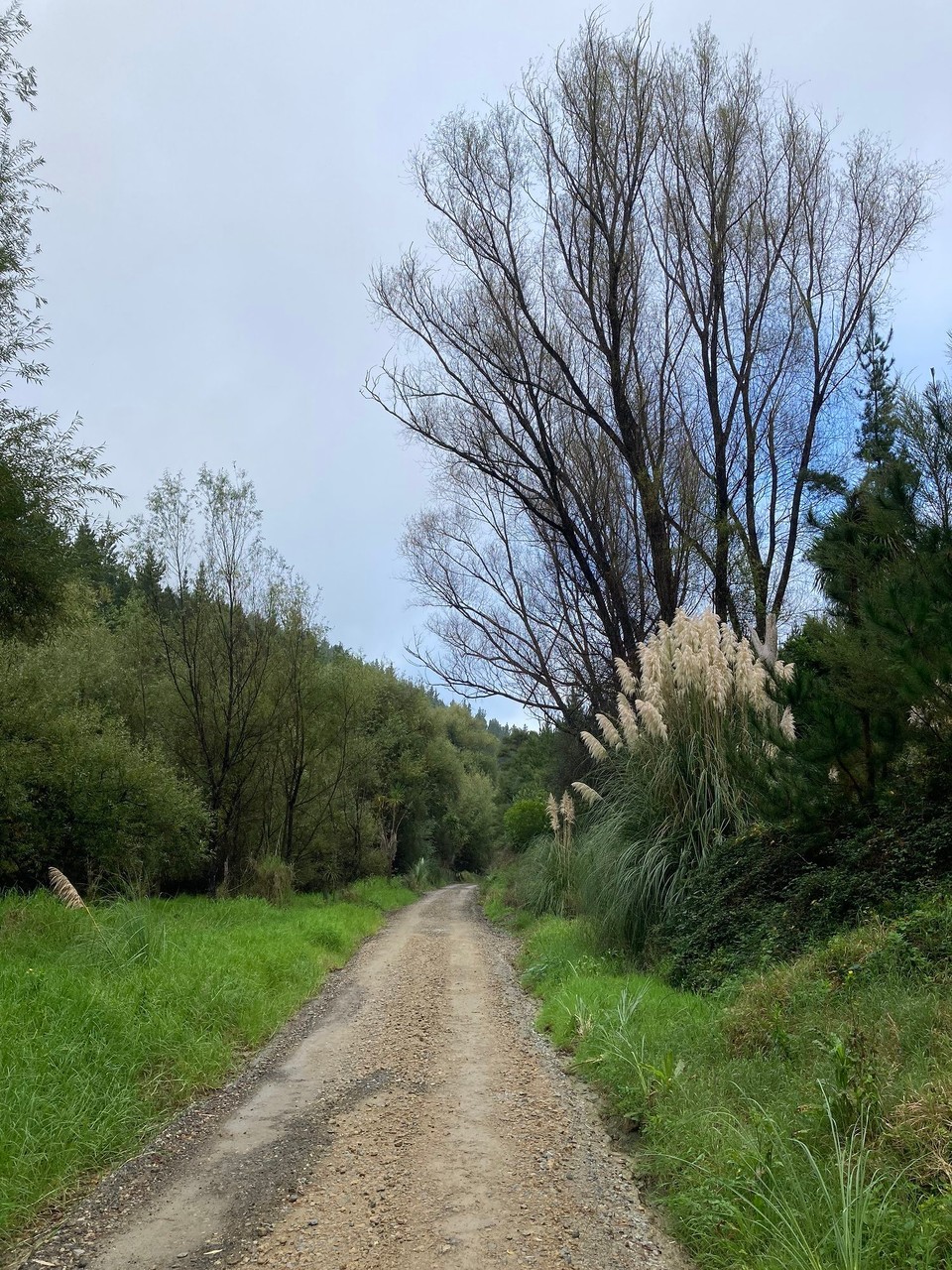 Neuseeland - Gisborne - Auf dem Rückweg wird wieder besseres Wetter 😃