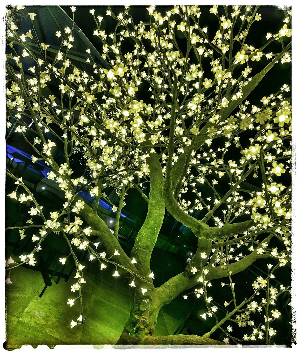 Frankreich - Valbonne - Ambiente am Pool. 