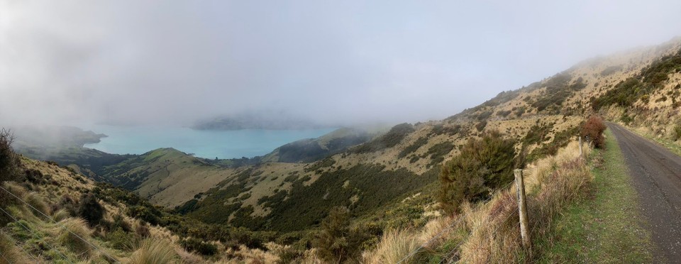 Neuseeland - Little River - 