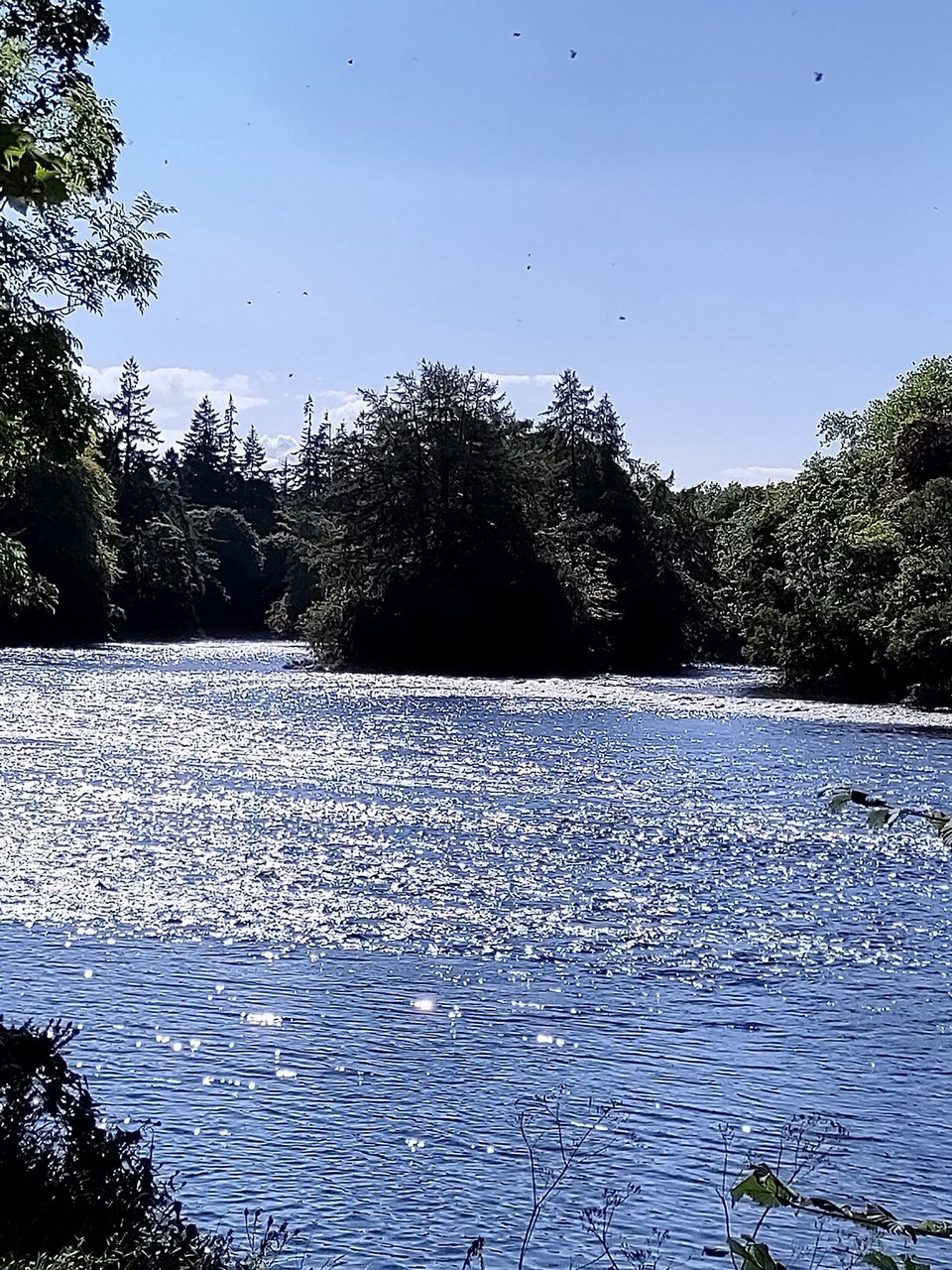 Vereinigtes Königreich - Inverness - ...hin zur kleinen Inseln im Fluss....
