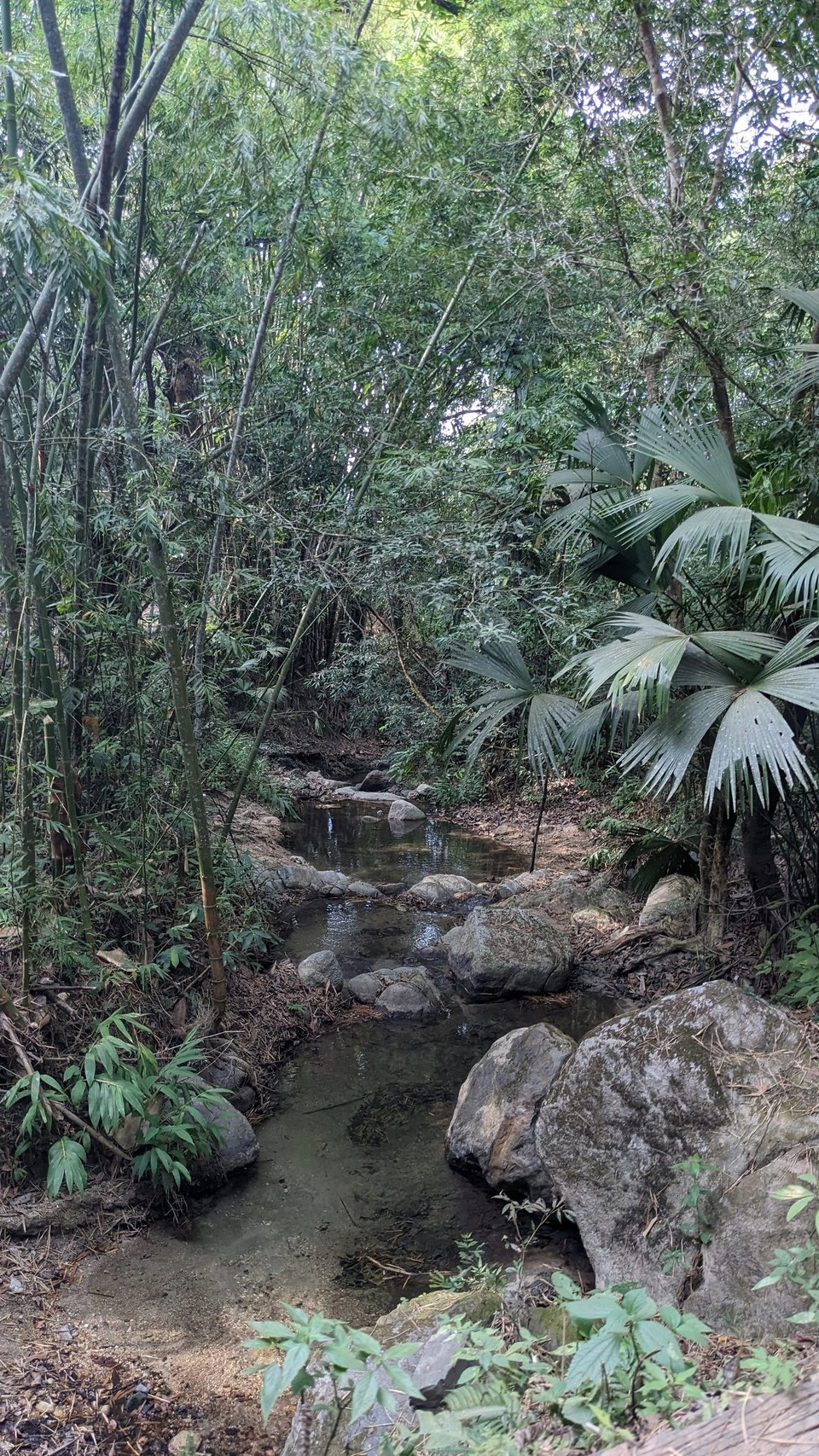 Kolumbien - Minca - 