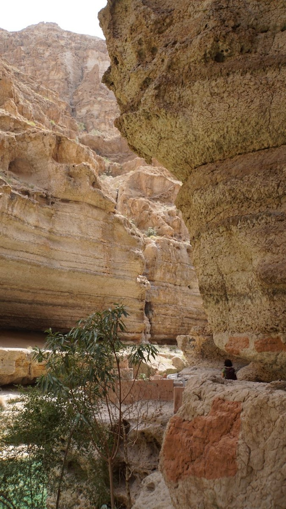 Oman -  - 