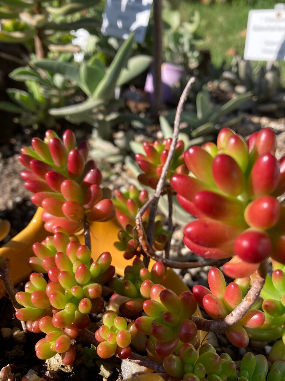 Österreich - Wien - 