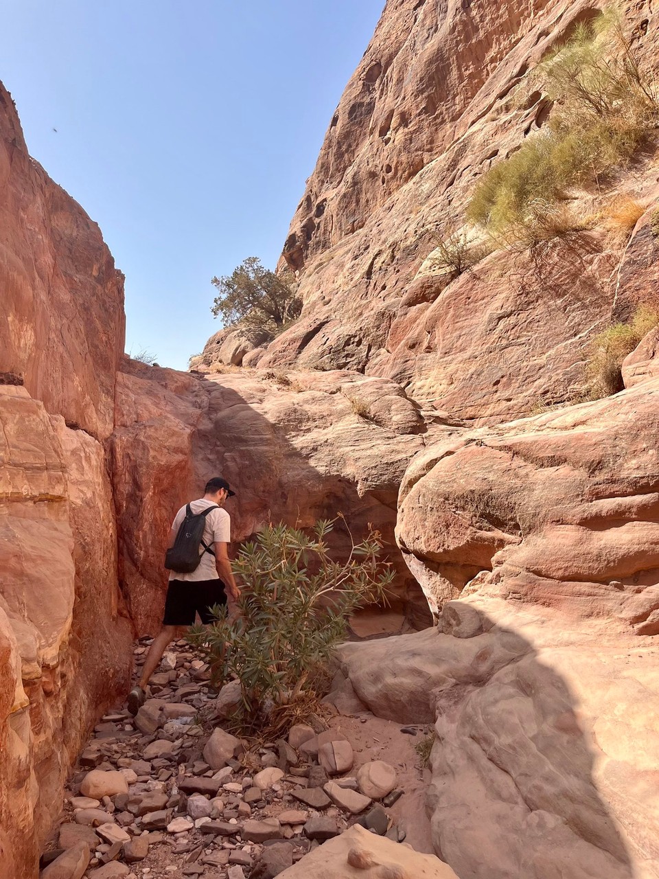 Jordanien - Wadi Musa - 