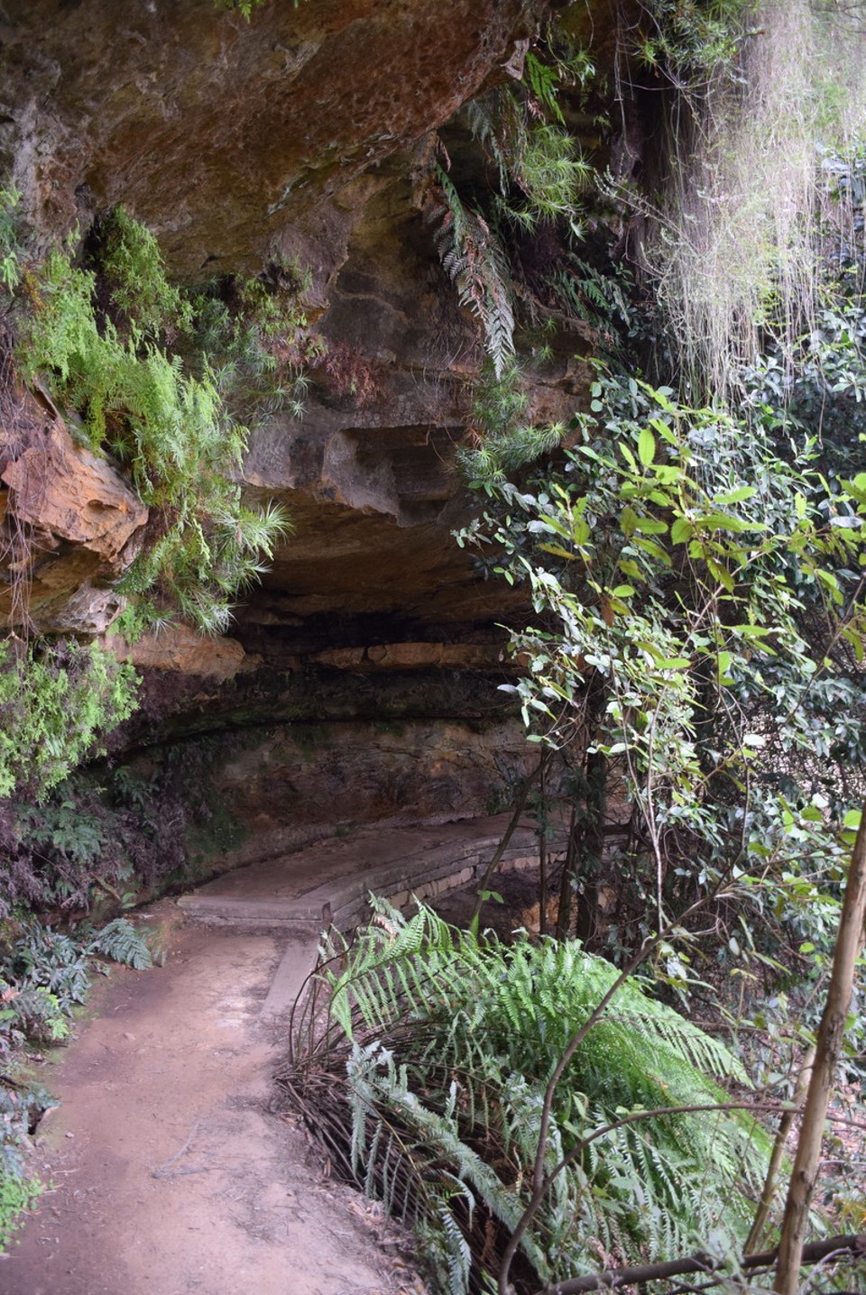 Australien - Wentworth Falls - 