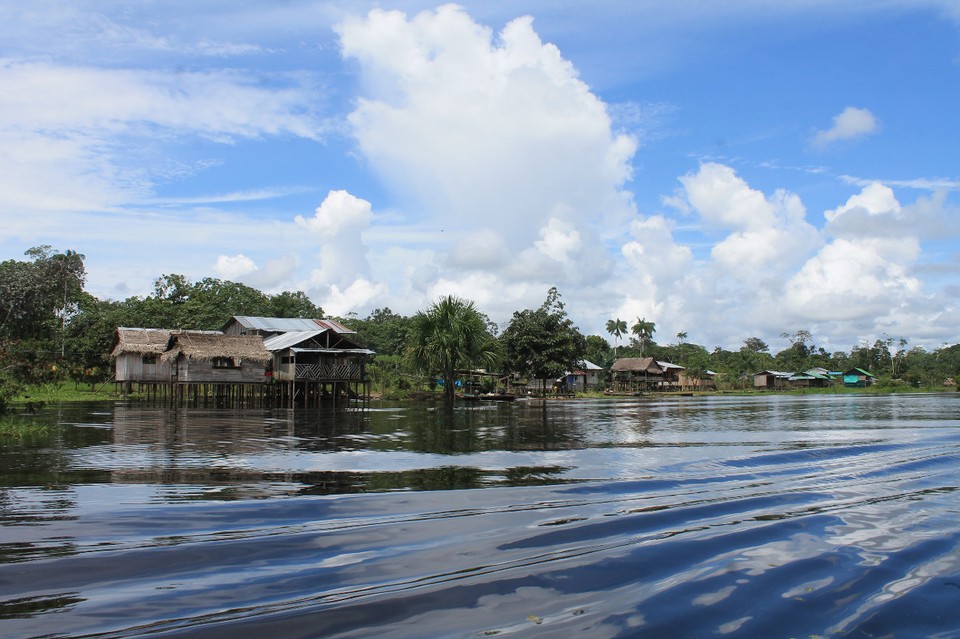 unbekannt - Rio Javari - 