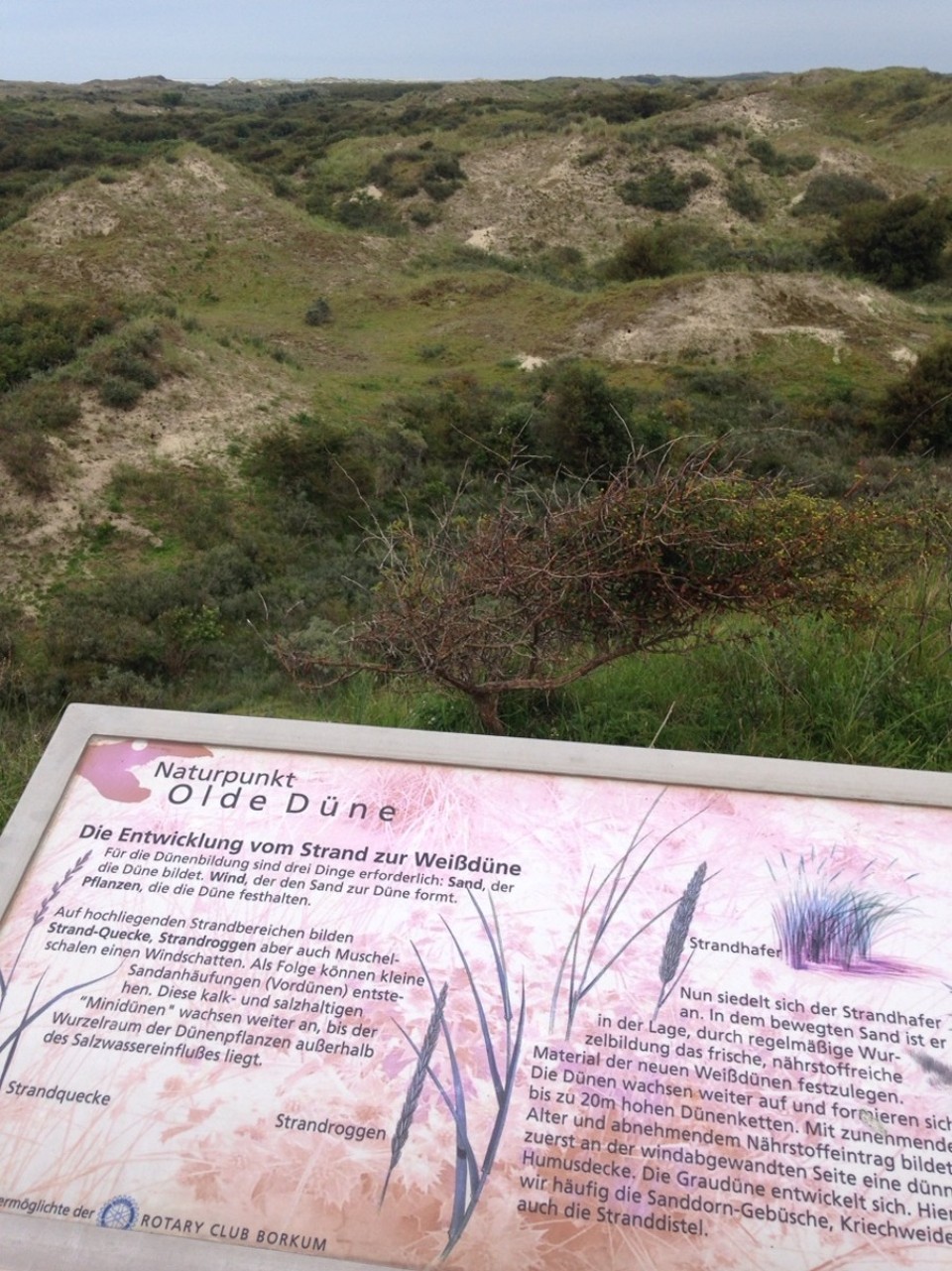 Deutschland - Borkum - Dunes school