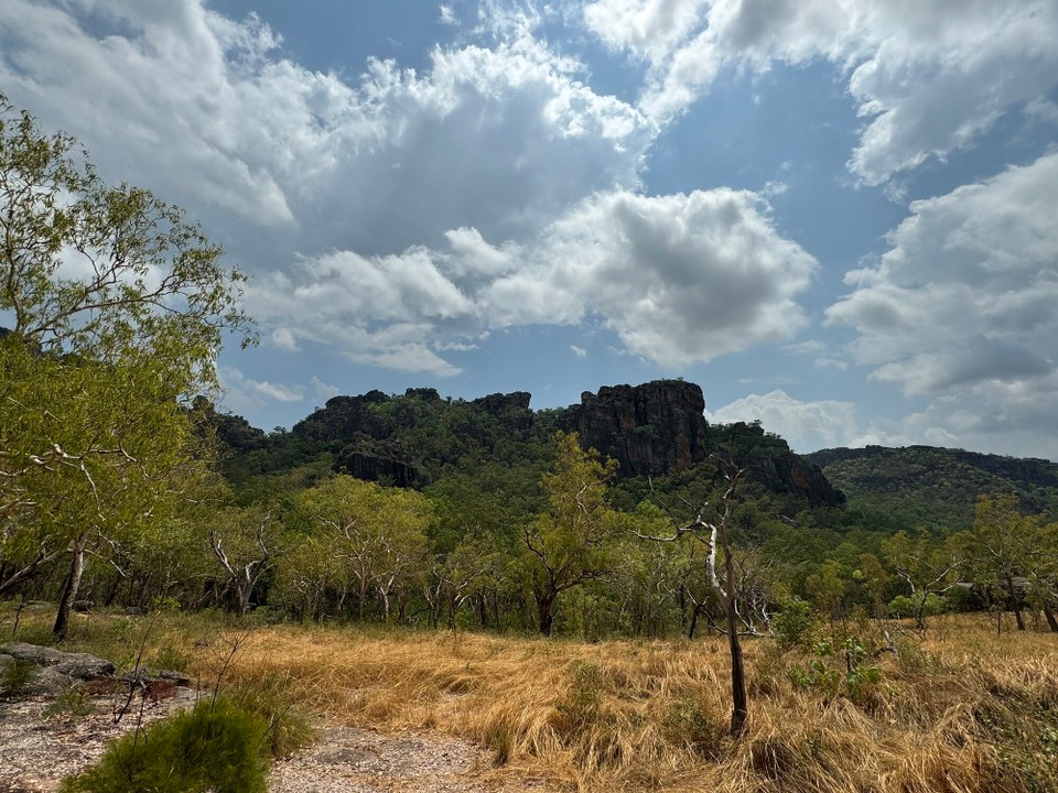 Australien - Kakadu - 