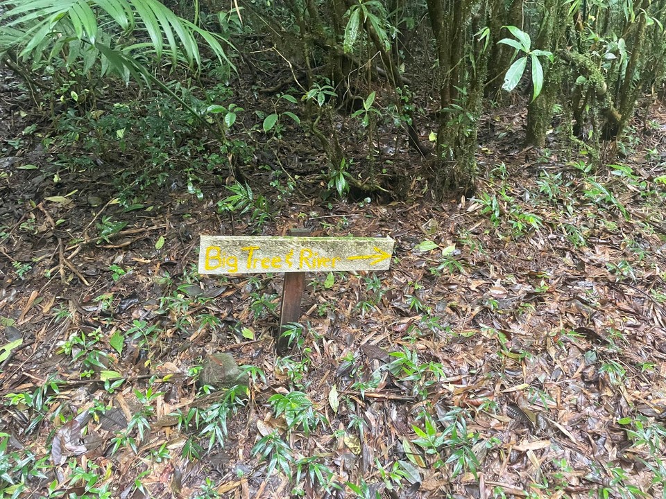Panama -  - Diesmal sogar mit Wegweisern 🪧 