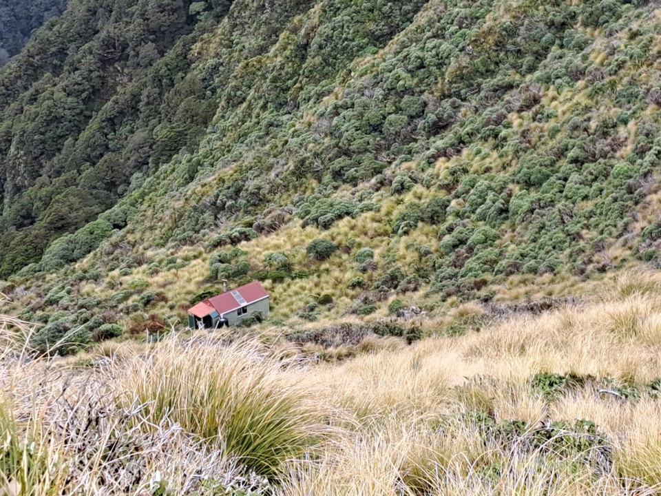 Neuseeland - Te Aroha trail PK - 