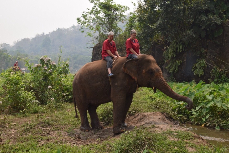 Thailand - Chiang Mai - 