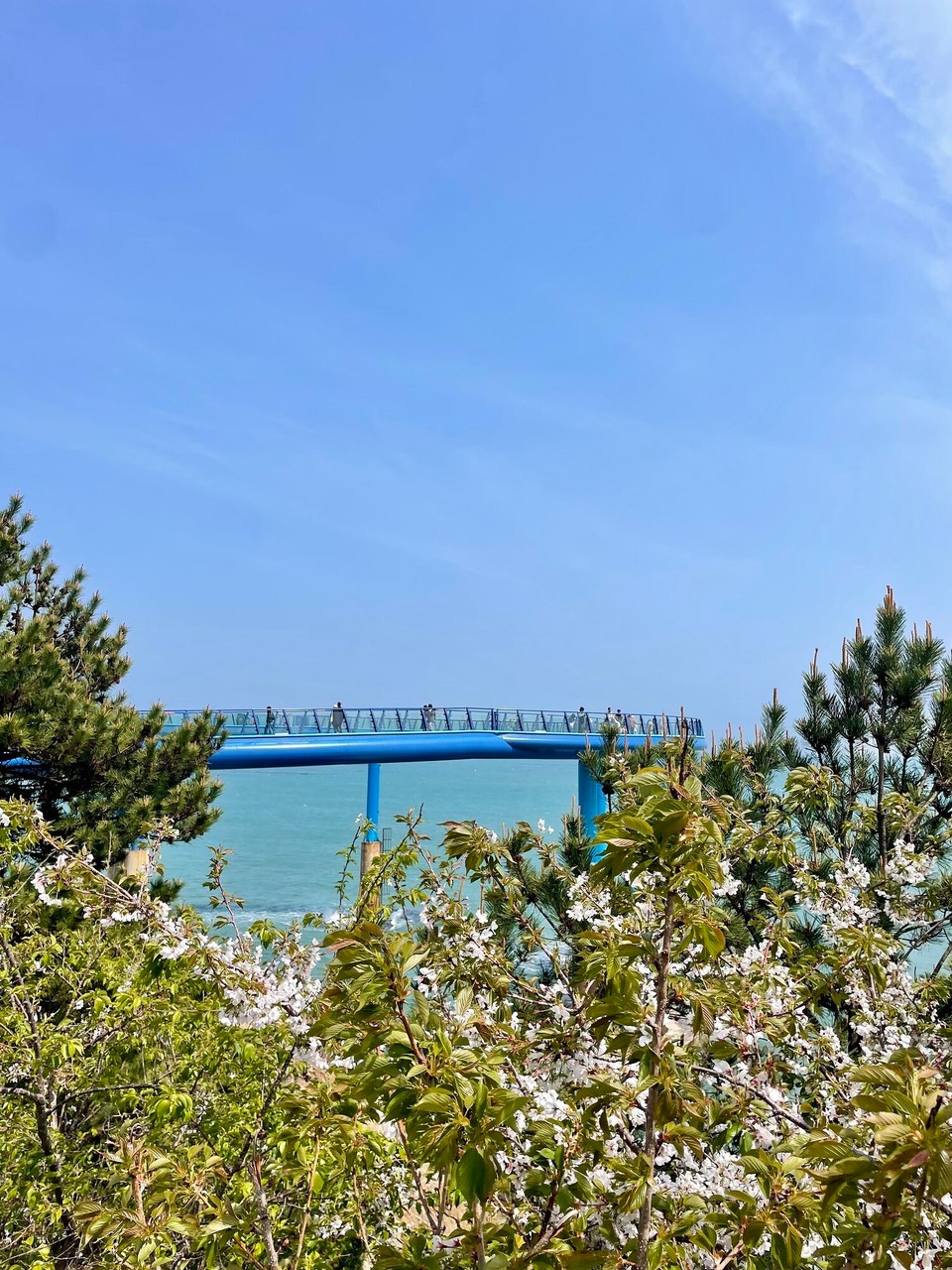 대한민국 - 부산광역시 - 