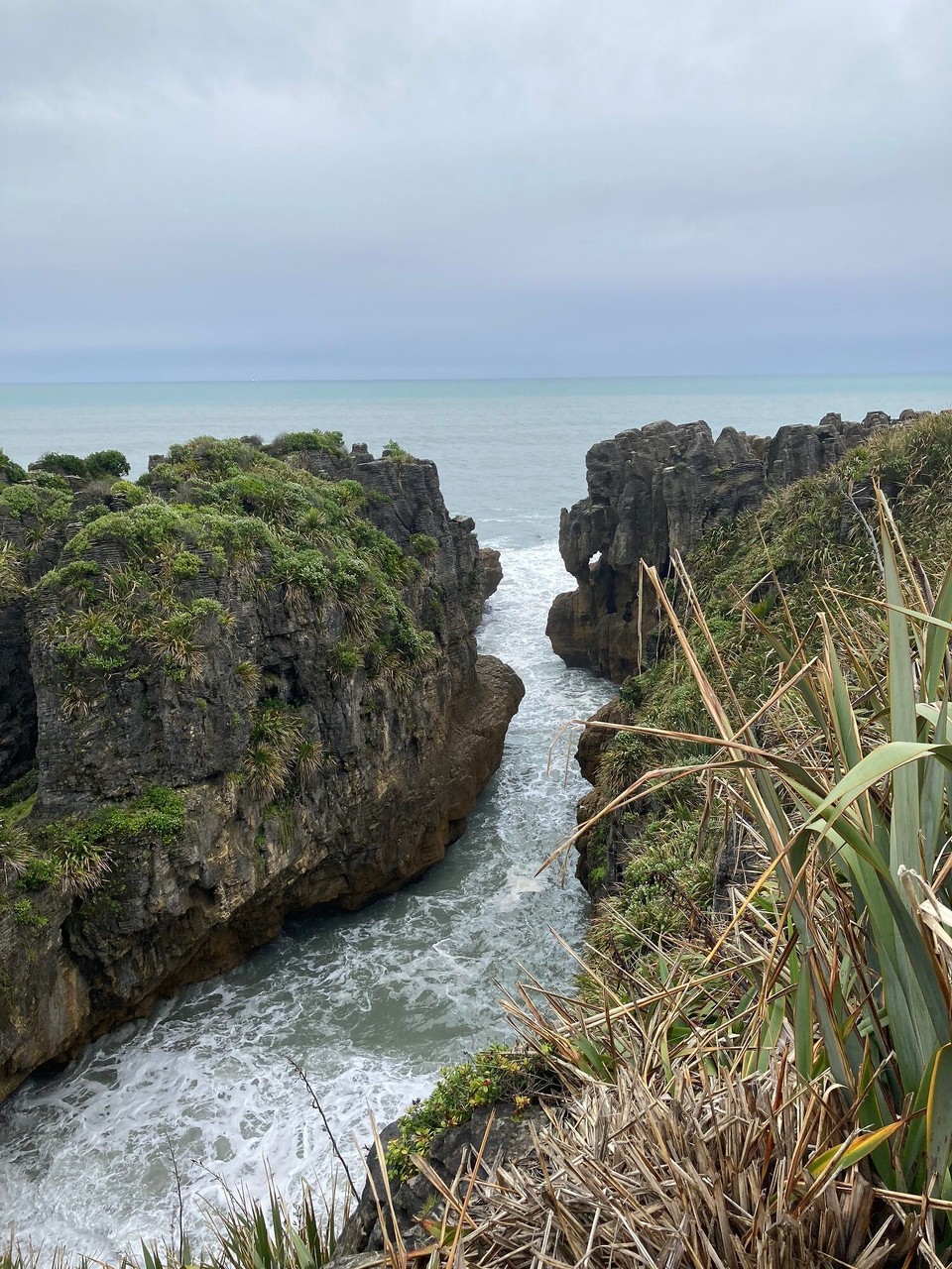 Neuseeland - Paparoa National Park - Pancake Rocks