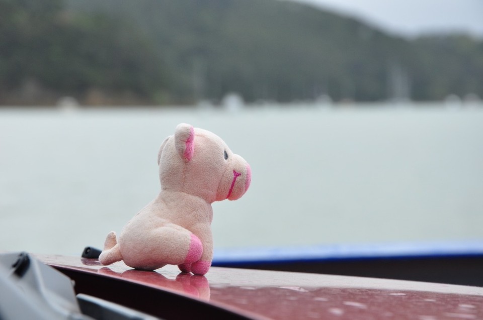 Neuseeland - Russell - Geniesse den Fahrtwind