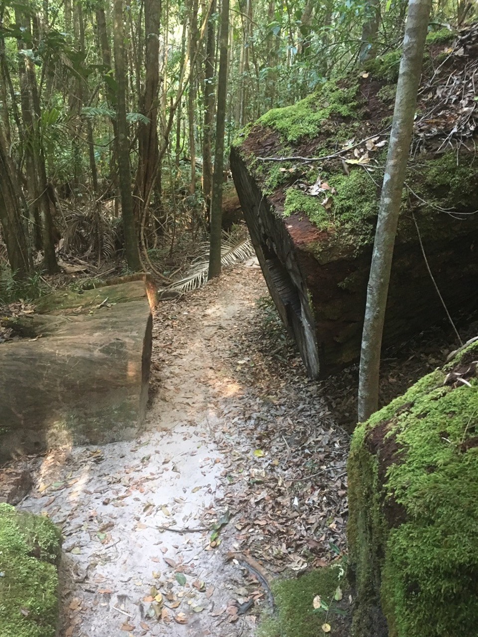  - Ausztrália, Wanggoolba Creek - 