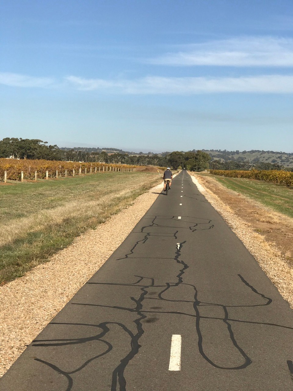 Australia - Angaston - We is in wine country 🍷