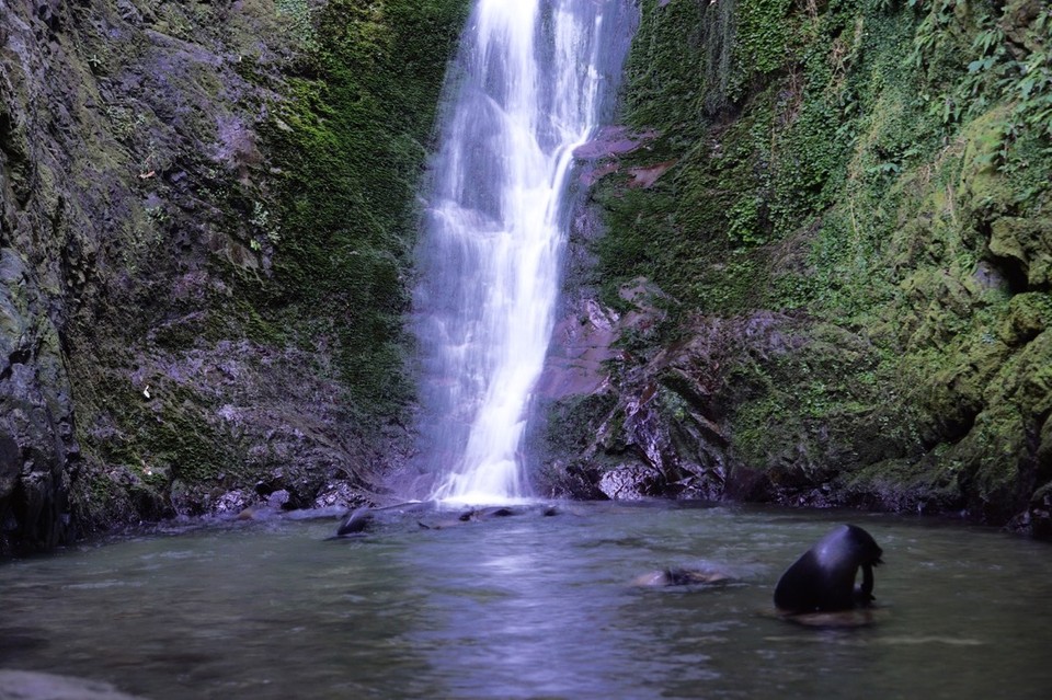Neuseeland - Nelson - 