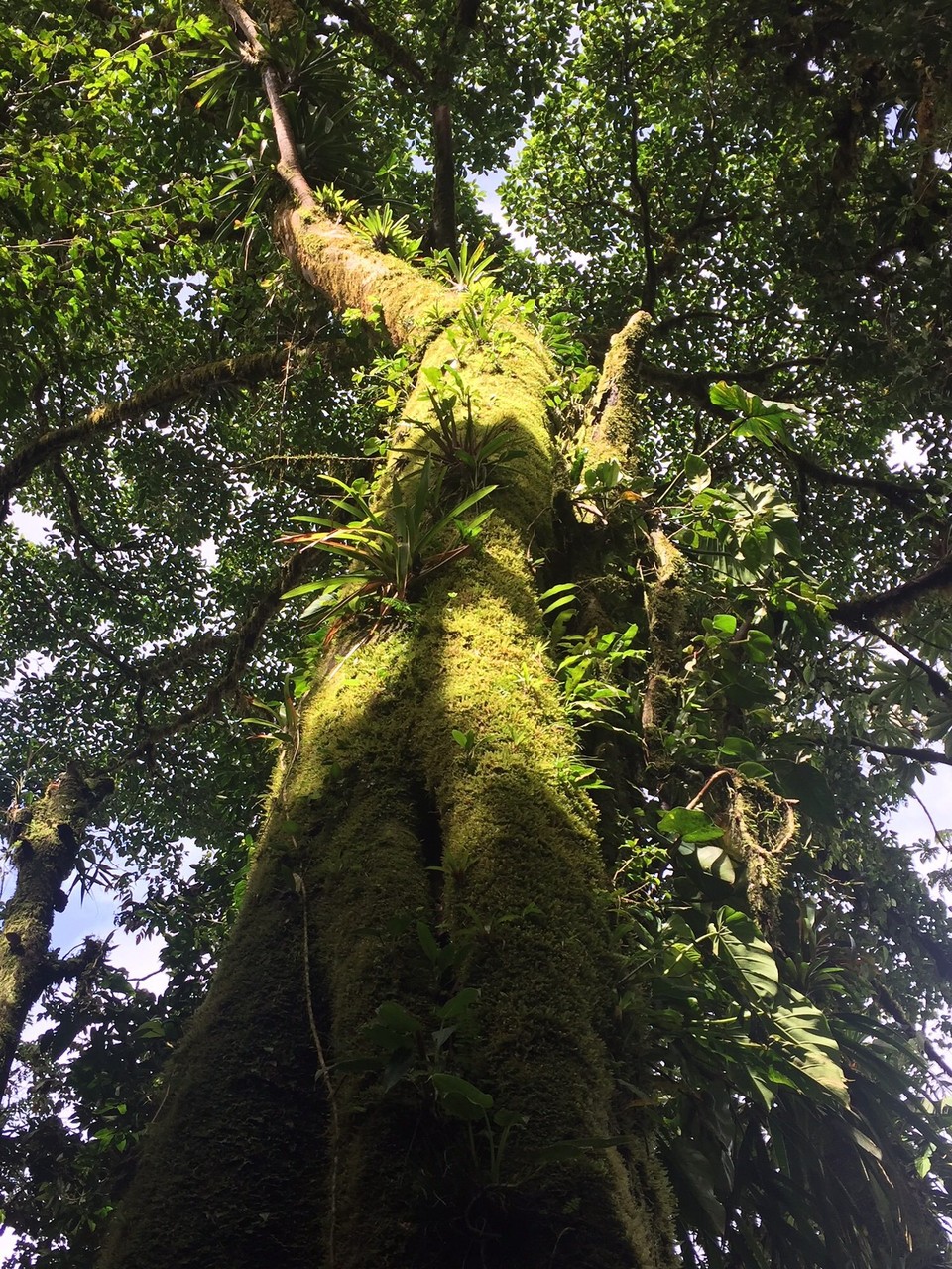 Costa Rica -  - 