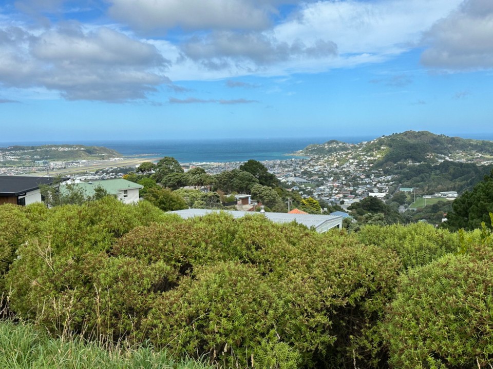 Neuseeland - Wellington - My Victoria Lookout 