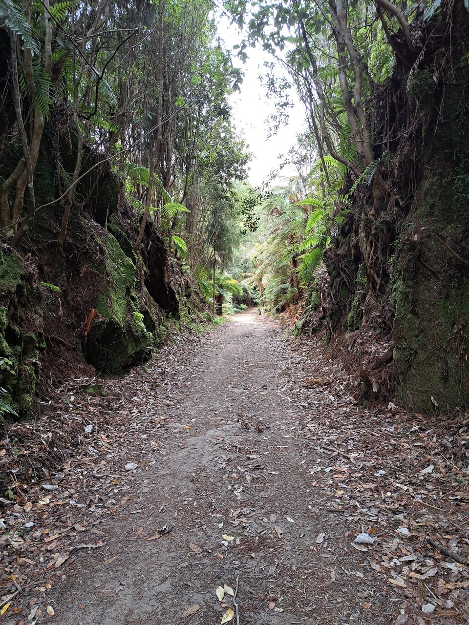 Neuseeland - Taumarunui - Hier ging in den 1940jahren eine Eisenbahn durch 