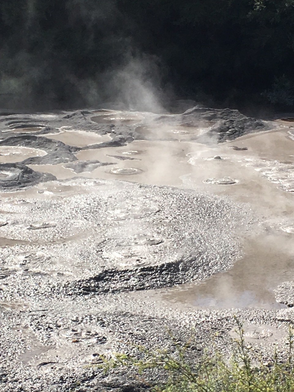 Neuseeland -  - Geysir und mud holes in Rotorua. Leider war das Wetter durchwachsen so dass wir nicht so viel wandern konnten. Abends hat es aufgeklart und wir waren luging (zu deutsch: rennrodeln). Also in einer Art Kart den Berg runter. Riesen Spaß gemacht aber leider war es abends ziemlich kalt (13 grad) so dass wir irgendwann durchgefroren waren. Aber in Rotorua kann man viel machen. Scheint die Spaß-Stadt der Gegend zu sein 