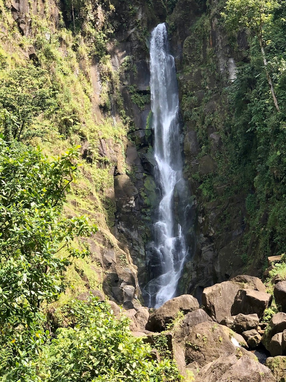 Dominica -  - Trafalgar Wasserfälle