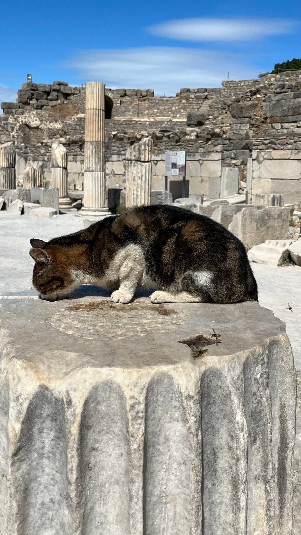 Türkei - Kusadasi - 