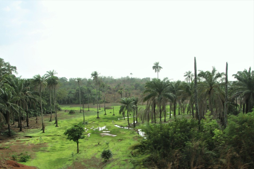 Sierra Leone - Kambia - Unterwegs
