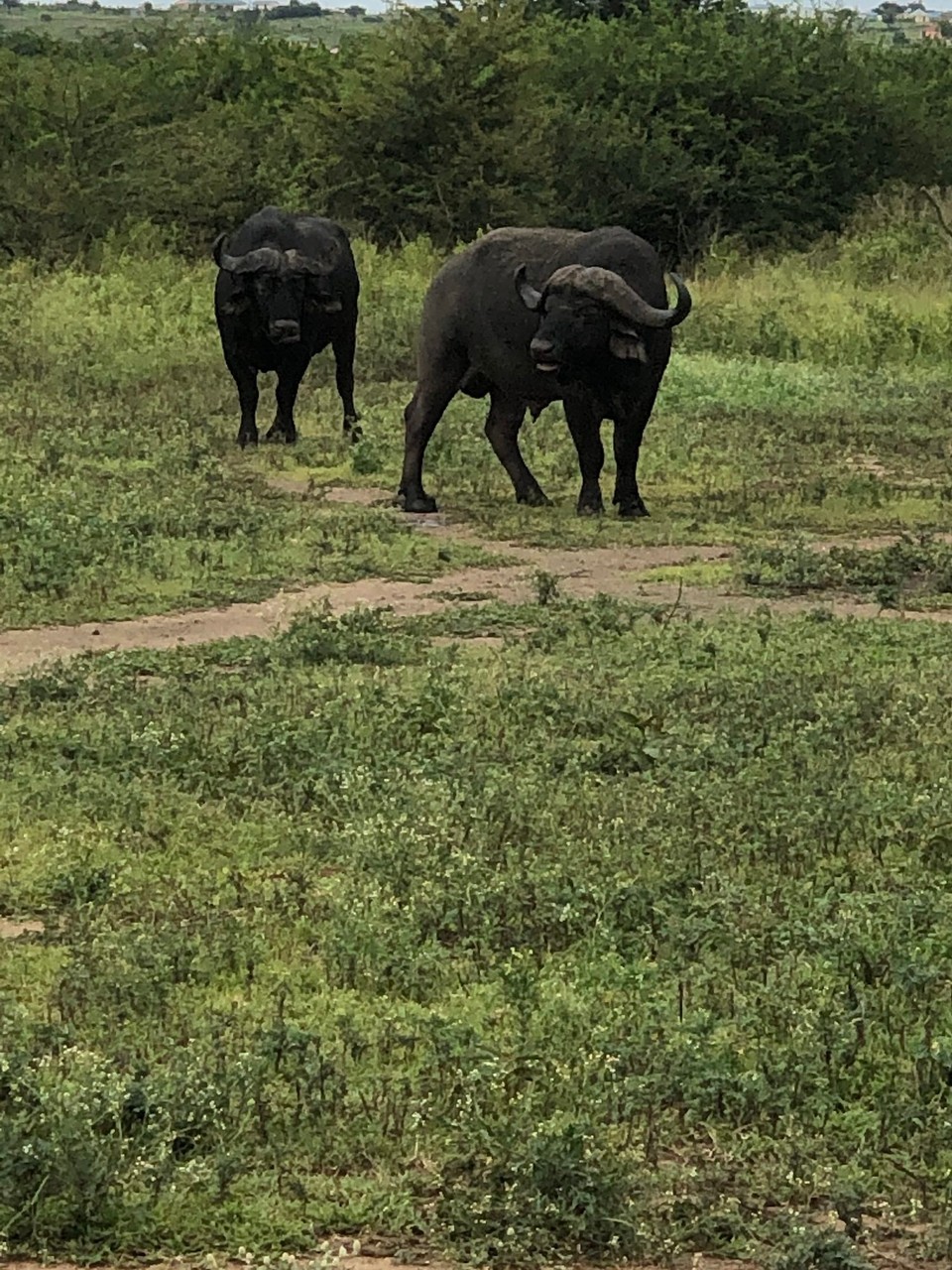 Südafrika - Durban - 