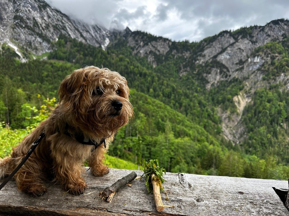 Österreich - Kufstein - 