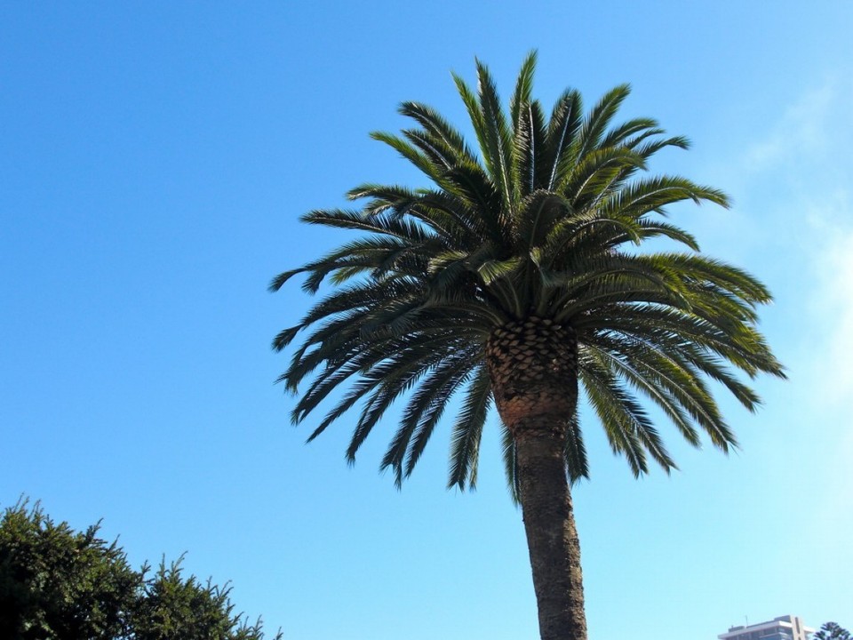 United States - San Francisco - 