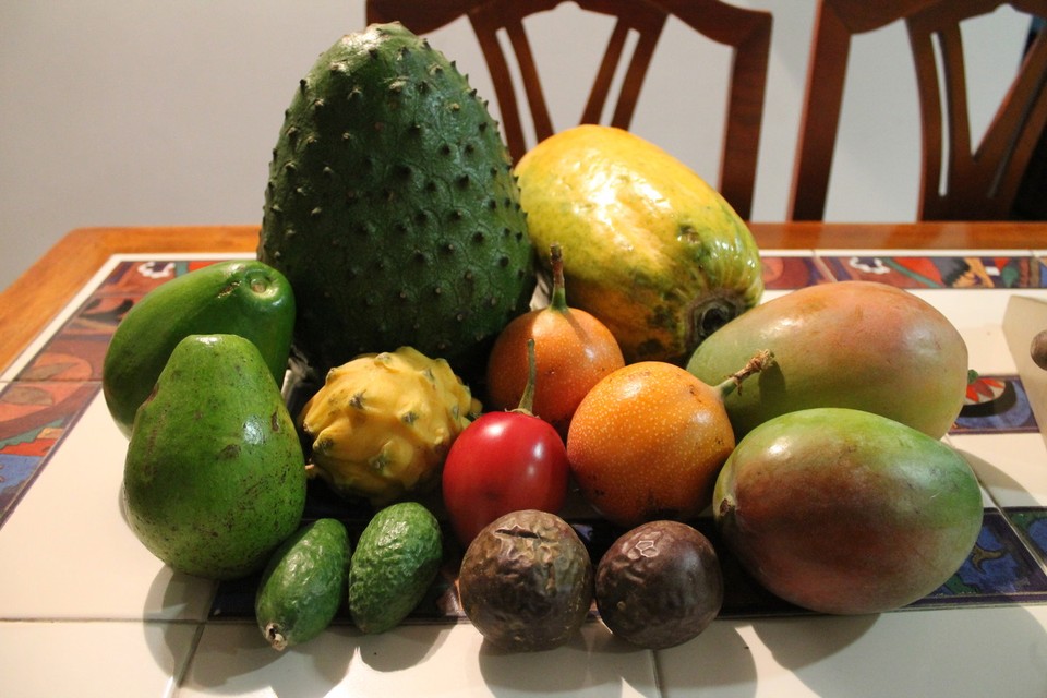 Colombia - Monserrate - Unser Obstkorb: Avocados, Guanabana, Papaya, Pitaya, Tomate de Árbol, Granadilla, Mangos, Feijoa, Maracuyas
